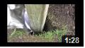 Kongcrete Video Thumbnail