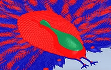 A 3D relief of a welsh dragon, built directly from an imported bitmap image