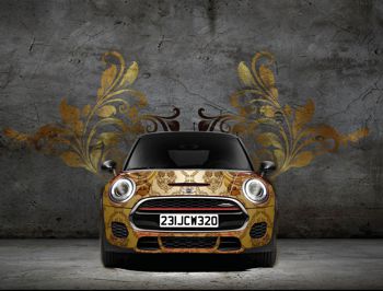 a mini covered in new wrap