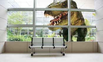 The new Clear Graphics is a printable, highly transparent film for glazed areas. T-rex image on transparent film on window