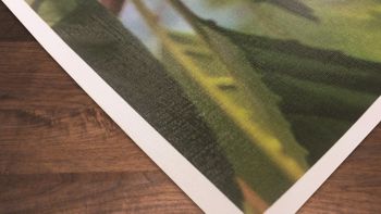 sample of textured material in linen finish