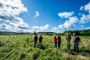 Antalis Tree planting Antalis supports forest growth with tree planting