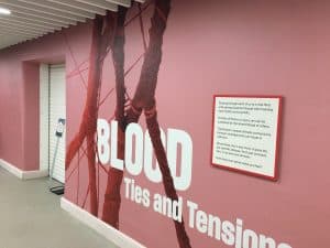 IMG 6623 Digital Plus brings together new museum exhibition with Kavalan PVC-free film