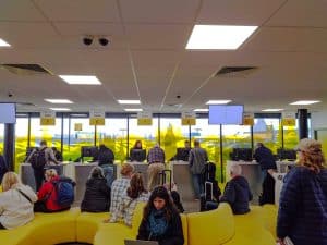 Greens' Hertz award-winning window graphics for Heathrow Airport