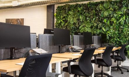 The rise of biophilic signage in the workplace and how it can boost employee well-being