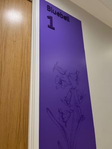 St Catherines Hospice Unlocking the high street ‘purple pound’ through inclusive signage